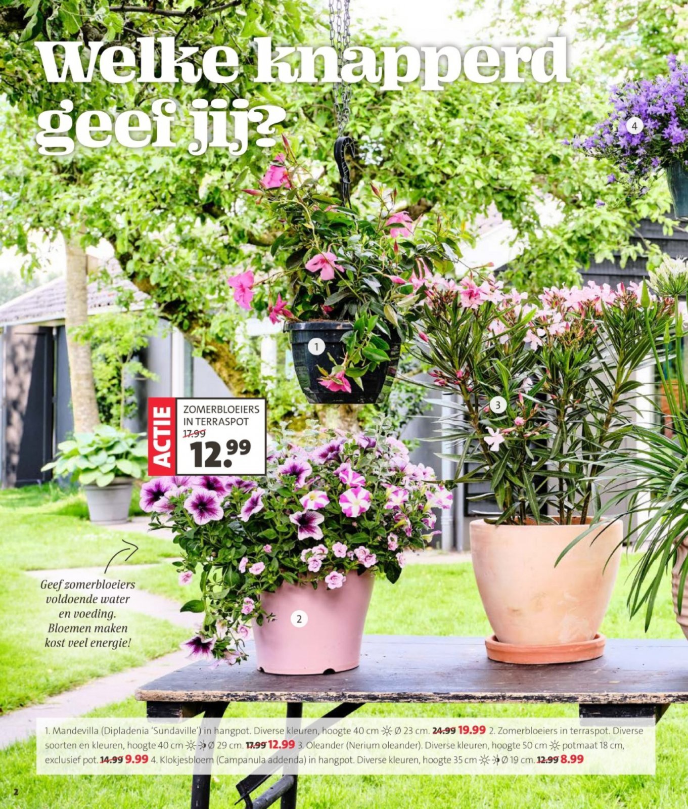 Catalogue des offres de Intratuin du May  5, 2025 au May 11, 2025 - Intratuin folder tot 11.05.2025