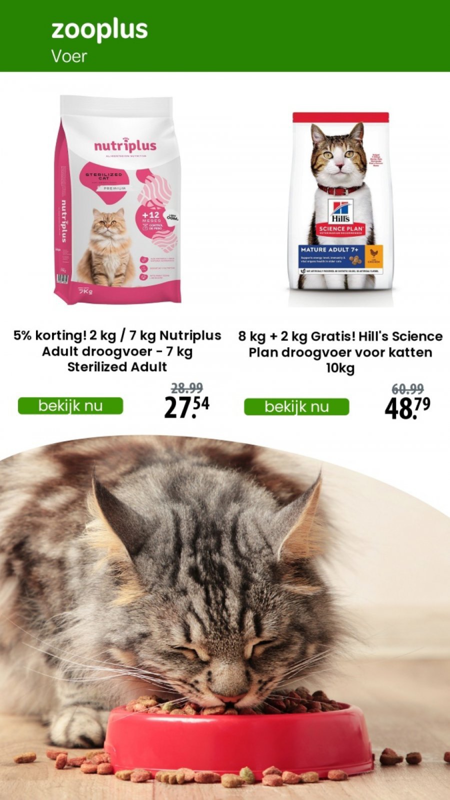 Catalogue des offres de Zooplus du May  5, 2025 au May 11, 2025 - Zooplus folder tot 11.05.2025
